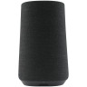 Harman Kardon Citation 100 - Wireless Smart Speaker - Black