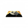 Коврик для компьютерной мыши X-Game Kung Fu Panda V1.P